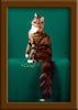 LapCats Cattery Maine Coon Queen Kizzy Kinte