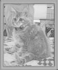 Picture of LapCats Red Maine Coon Queen