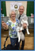 Maine Coon Stud Silver with White Classic Tabby