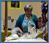 CFA Cat Show