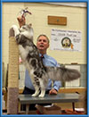 Cat Show